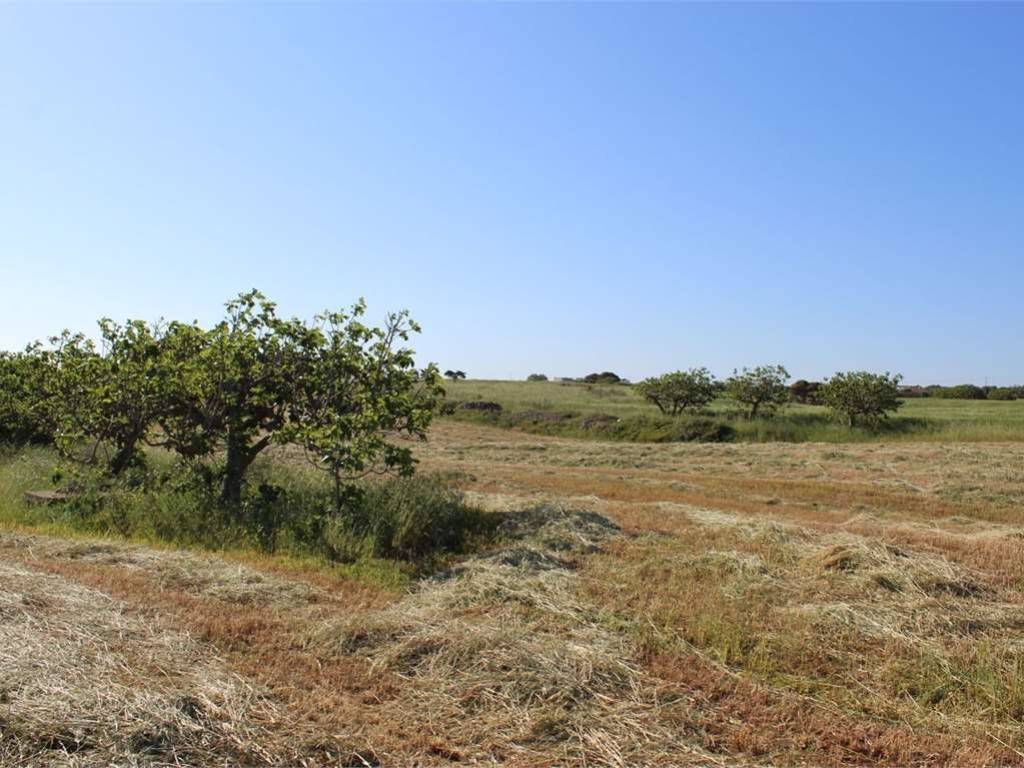 Rustico / casale a Carovigno - Foto 5