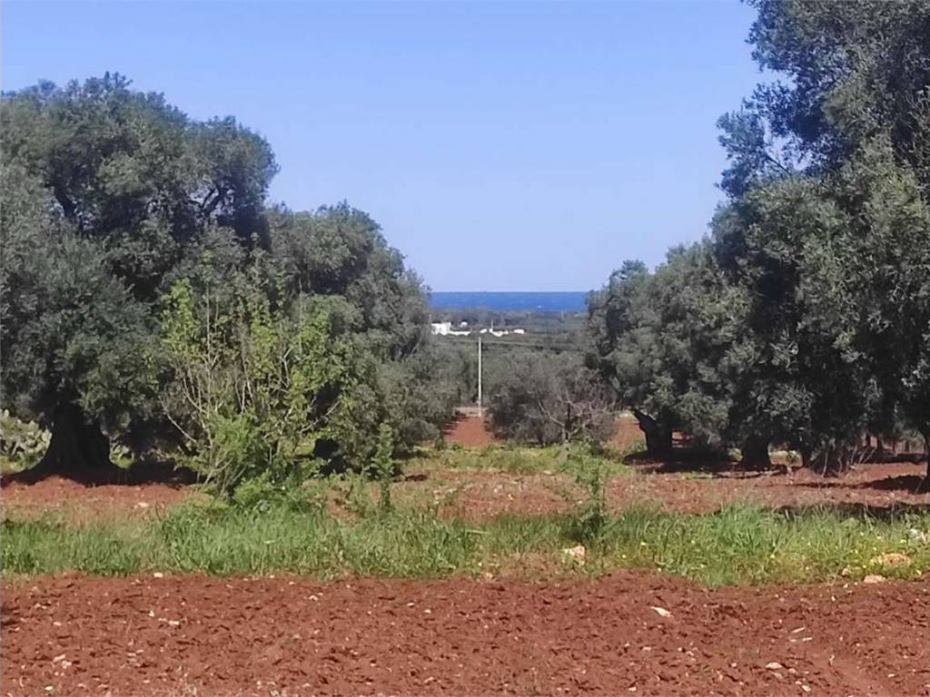Terreno a Carovigno - Foto 2