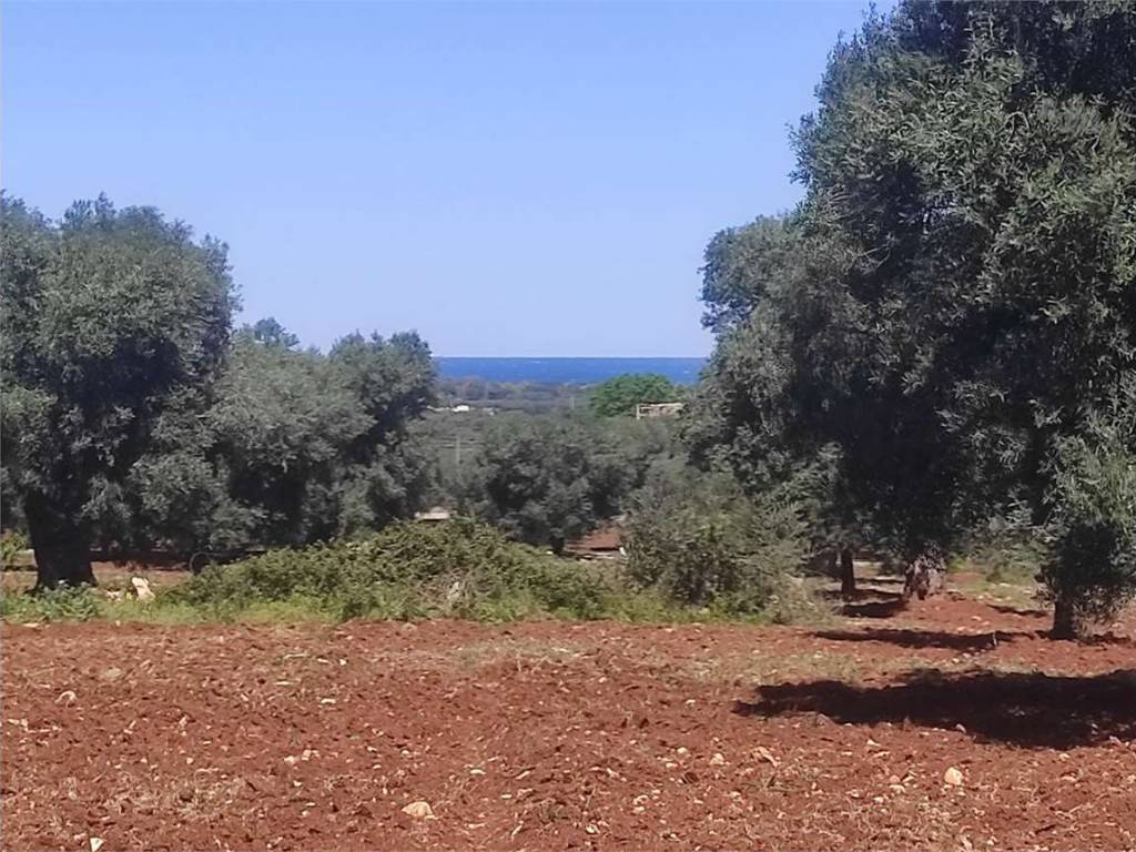 Terreno a Carovigno - Foto 3