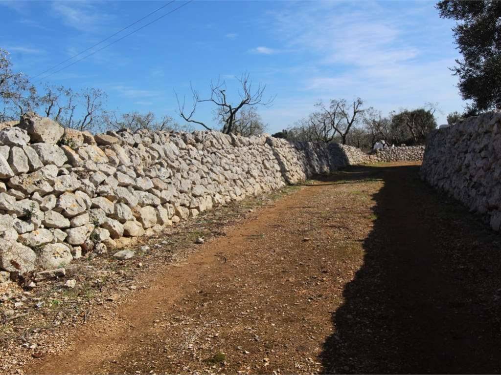 Terreno a Carovigno - Foto 5