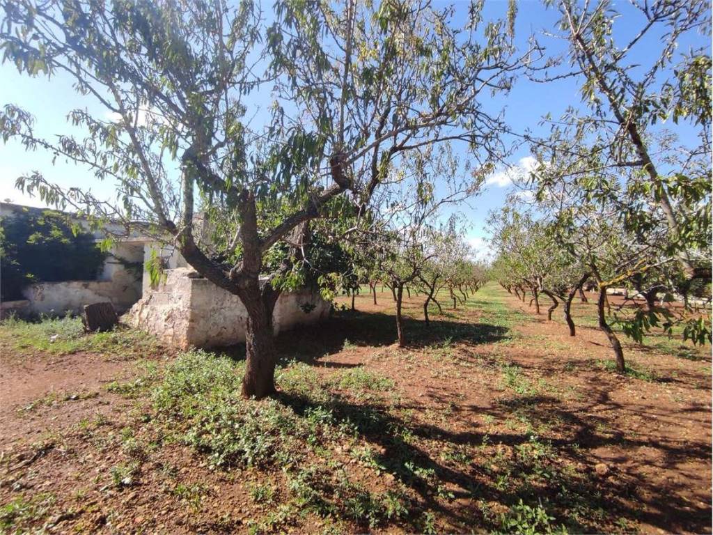Rustico / casale a Brindisi - Foto 3