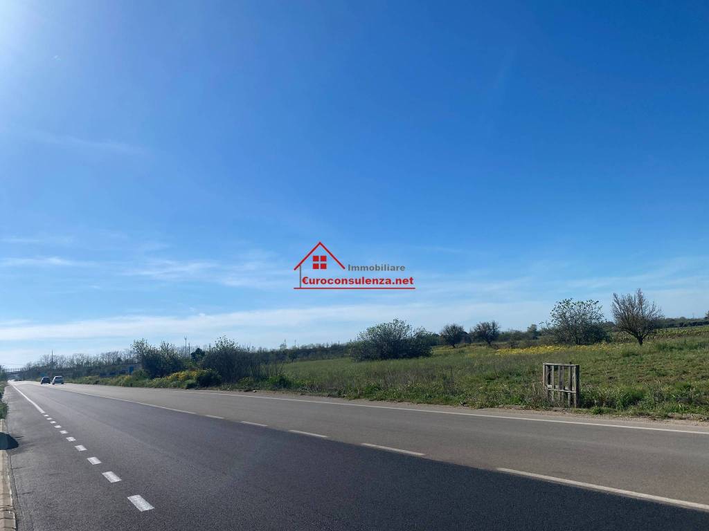 Terreno a Melissano in Strada Provinciale Taviano Casarano Maglie - Foto 5