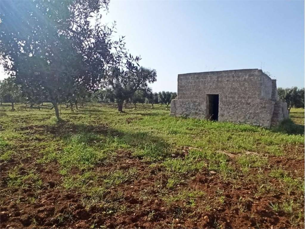 Rustico / casale a Carovigno - Foto 4
