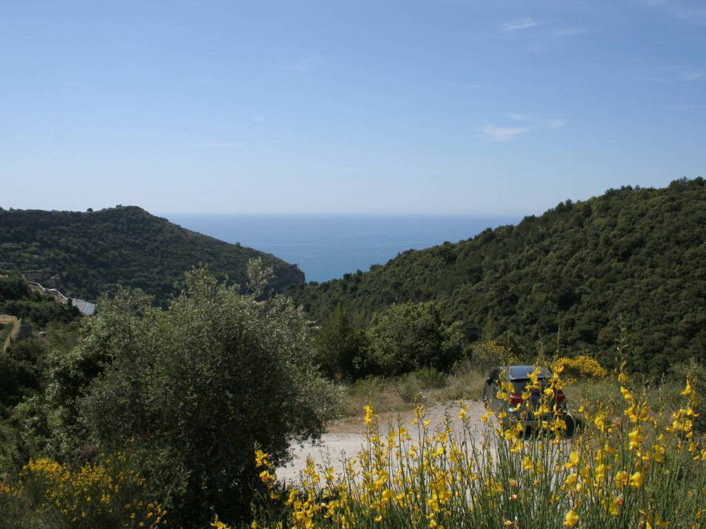 Terreno a Camporosso in Via Martinazzi - Foto 2