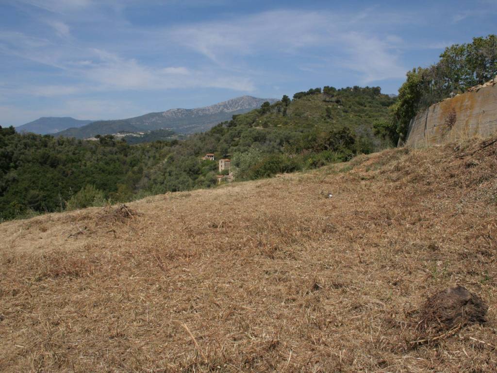 Terreno a Camporosso in Via Martinazzi - Foto 4