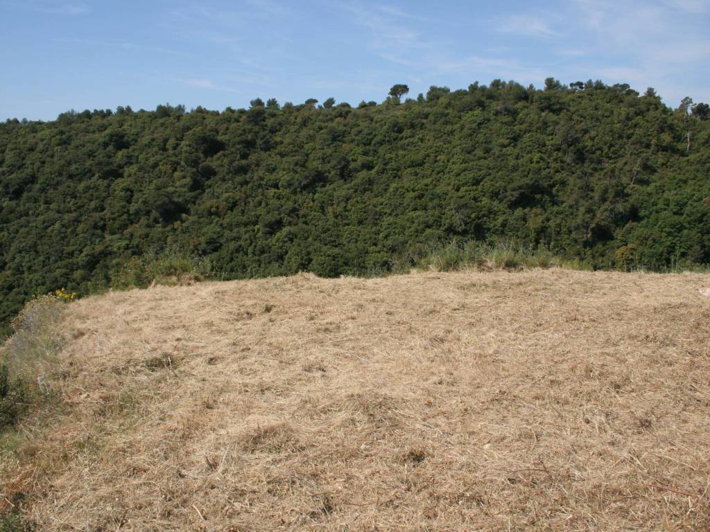 Terreno a Camporosso in Via Martinazzi - Foto 5