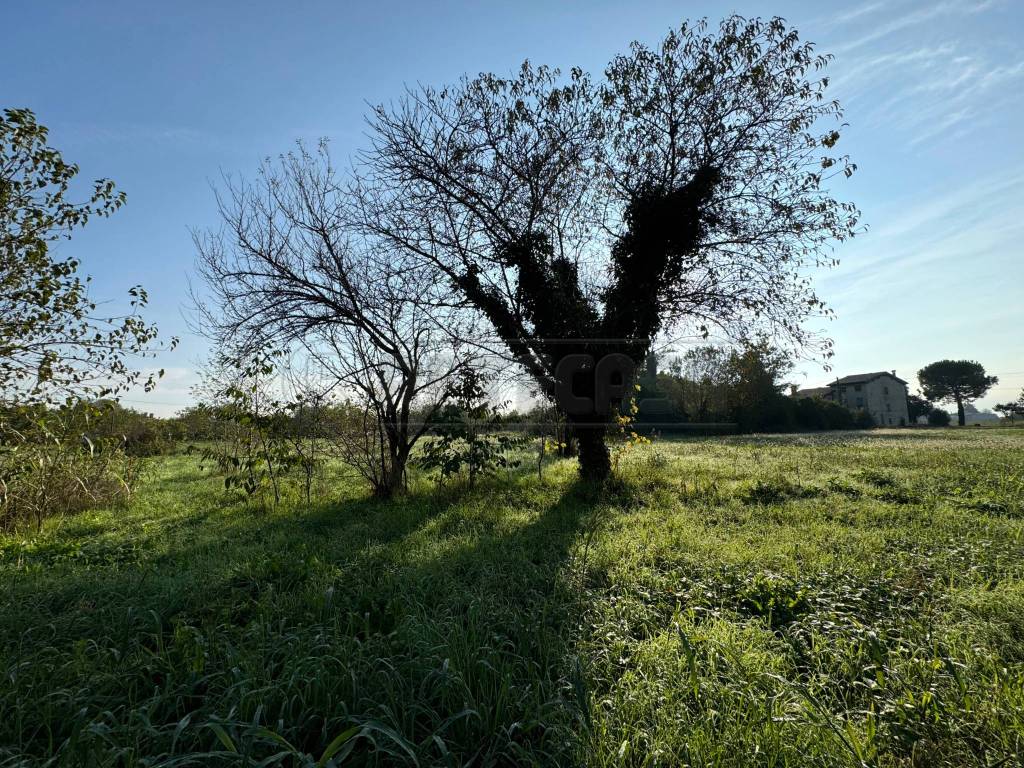 Rustico / casale a Sandrigo in MATTEOTTI - Foto 5