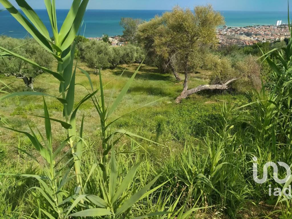 Terreno a Silvi in San Silvestro - Foto 3