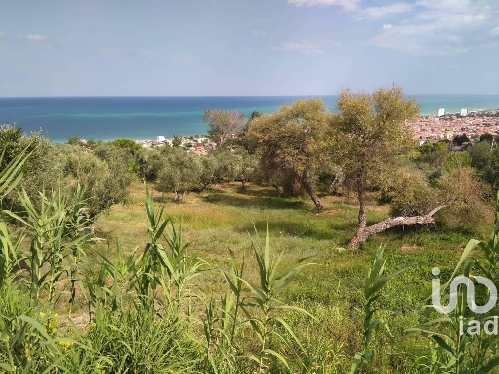 Terreno a Silvi in San Silvestro - Foto 4