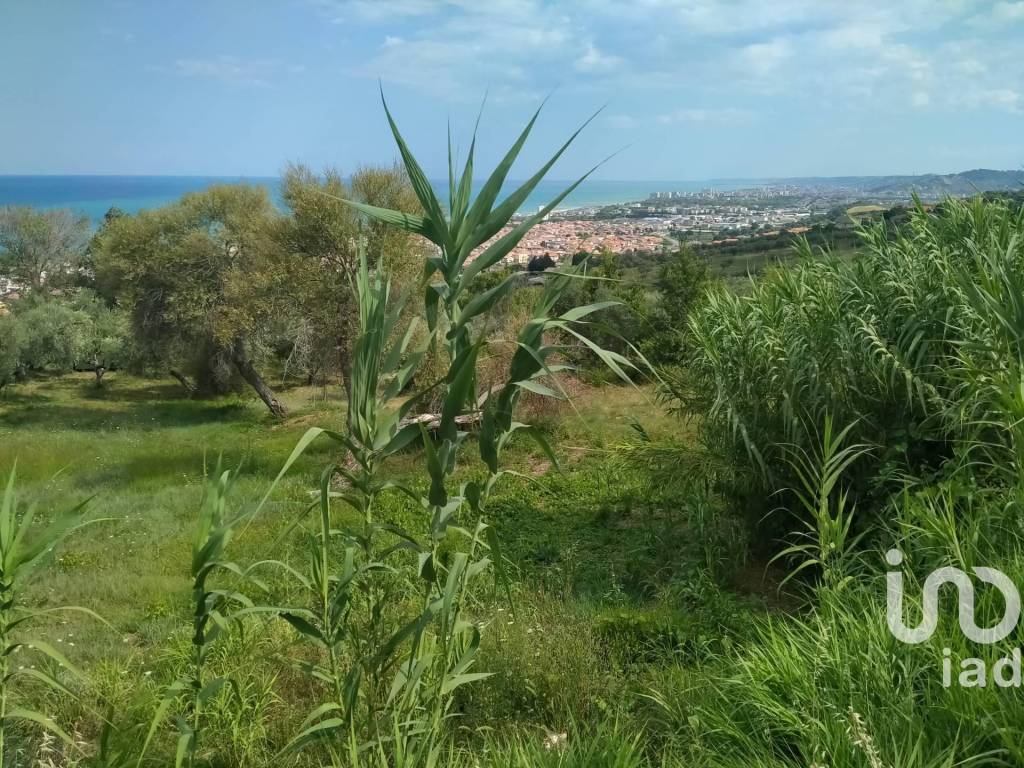 Terreno a Silvi in San Silvestro - Foto 5