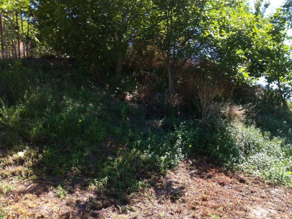 Rustico / casale a Colonnella in SP2, 20 - Foto 4