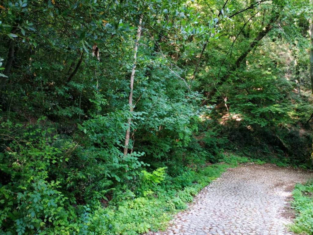 Terreno a Polcenigo in Via Pizzoch - Foto 3