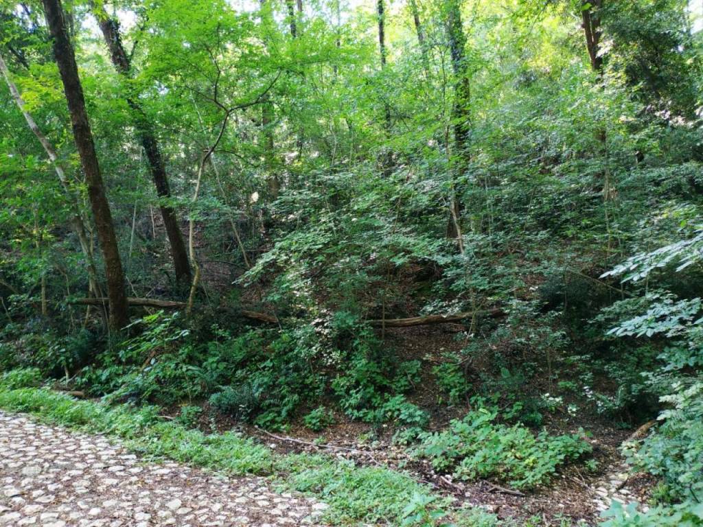 Terreno a Polcenigo in Via Pizzoch - Foto 4