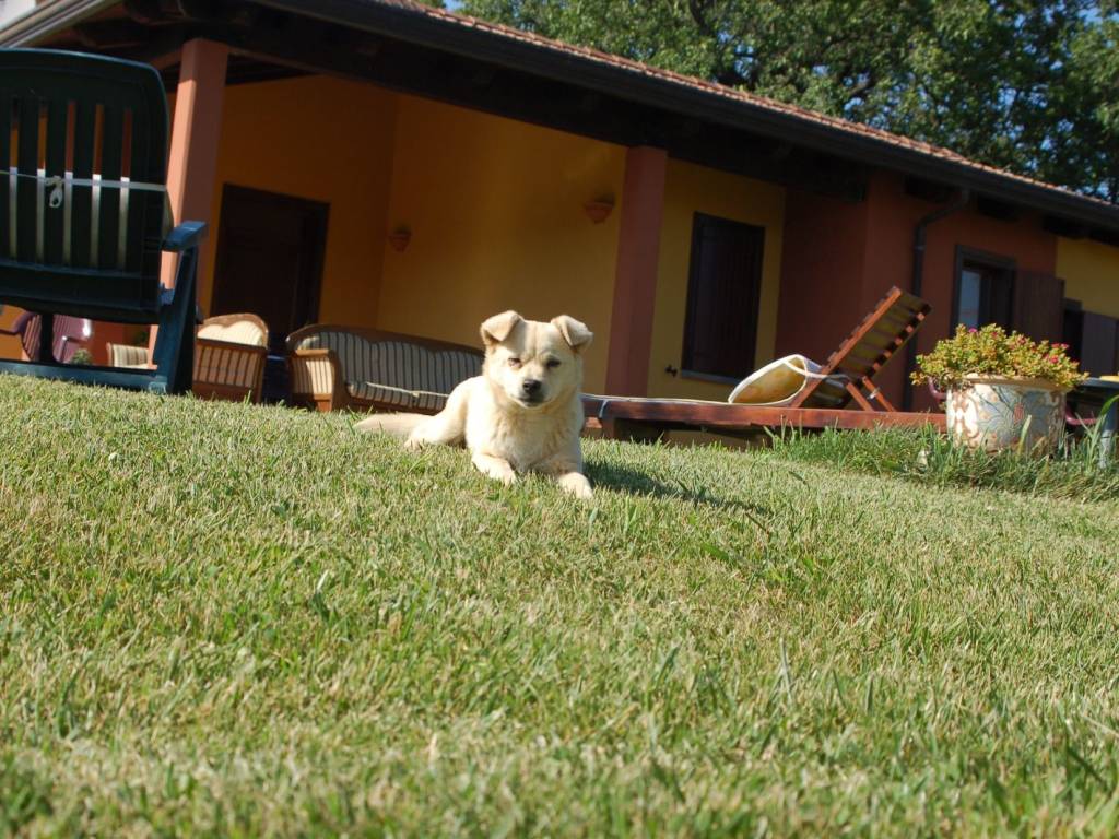 Villa a Albanella - Foto 2