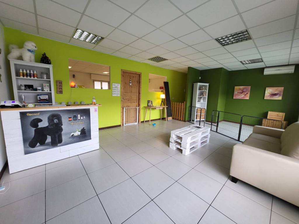 Immobile a Tricesimo in largo Zanuttini, 5 - Foto 5