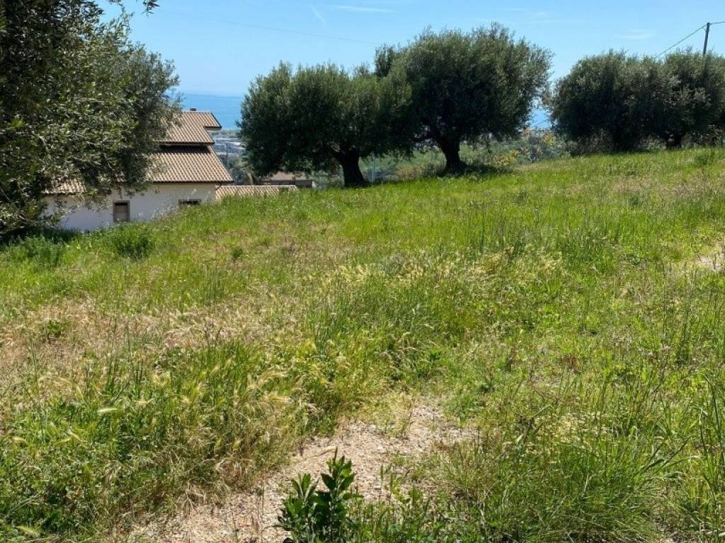 Terreno a Colonnella in Contrada San Martino - Foto 2