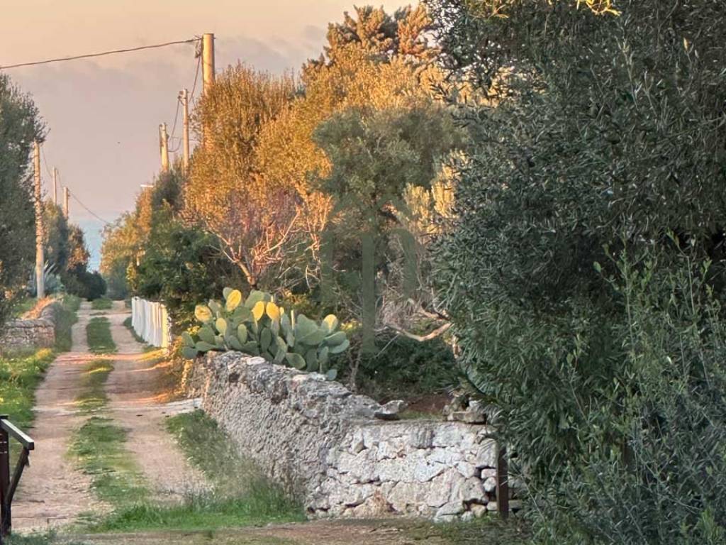 Rustico / casale a Ostuni - Foto 2
