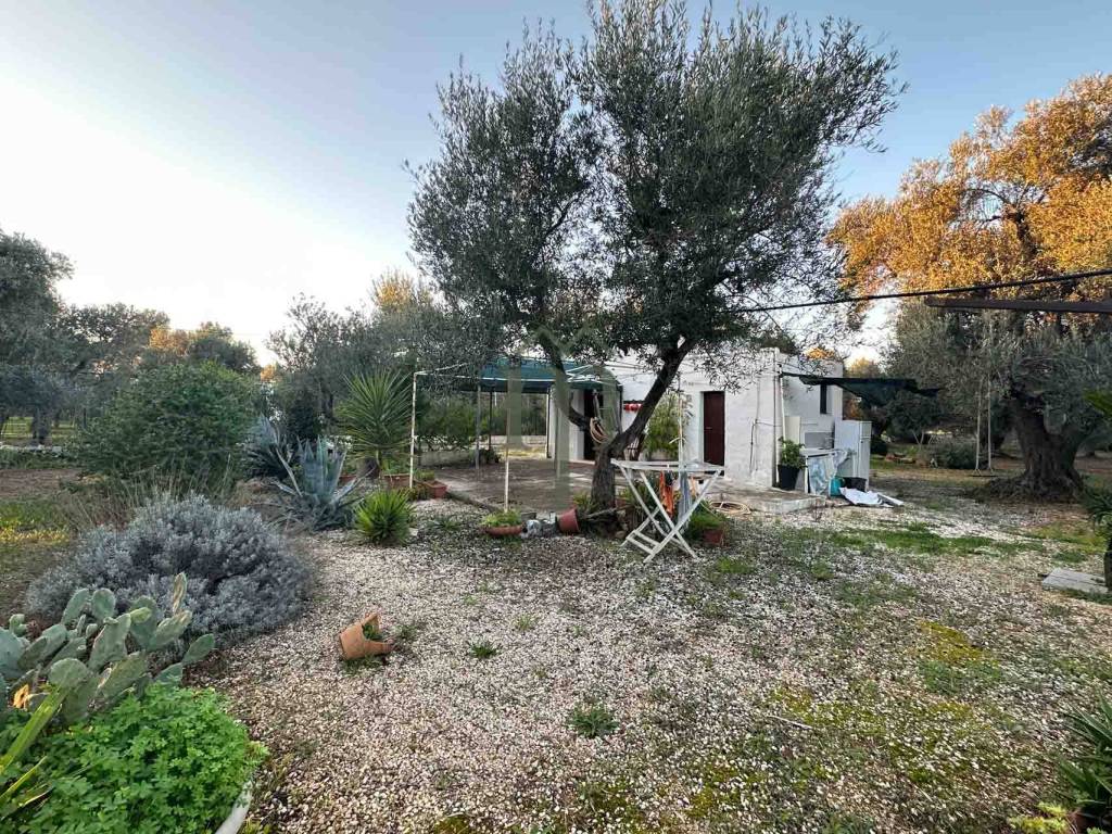 Rustico / casale a Ostuni - Foto 3