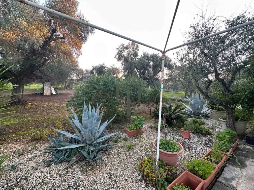 Rustico / casale a Ostuni - Foto 4