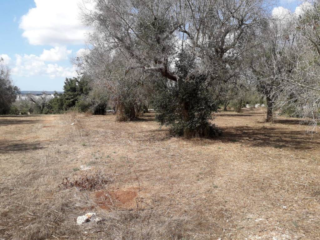 Terreno a Tricase in Via Francesco Ferrara - Foto 4