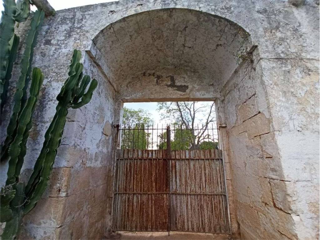 Rustico / casale a Carovigno - Foto 4