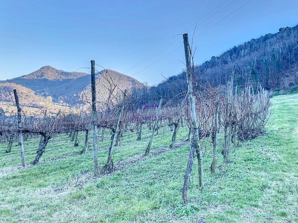Terreno a Galzignano terme in via regazzoni - Foto 2