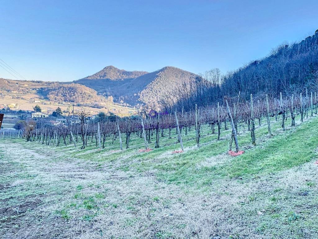 Terreno a Galzignano terme in via regazzoni - Foto 4