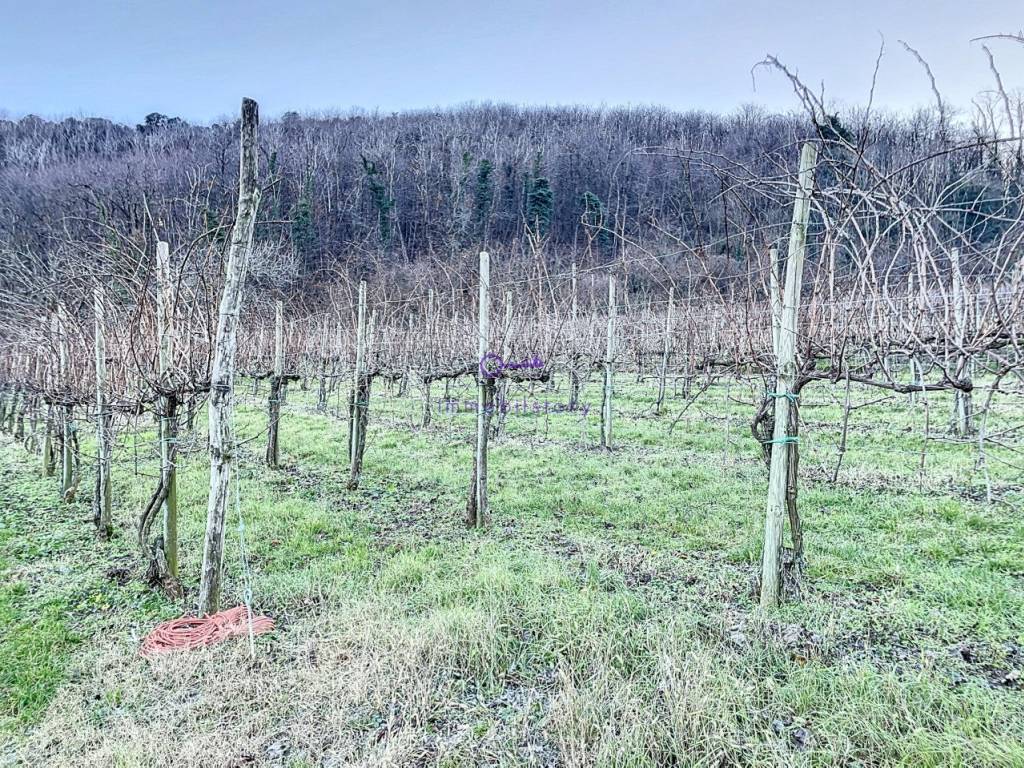 Terreno a Galzignano terme in via regazzoni - Foto 5