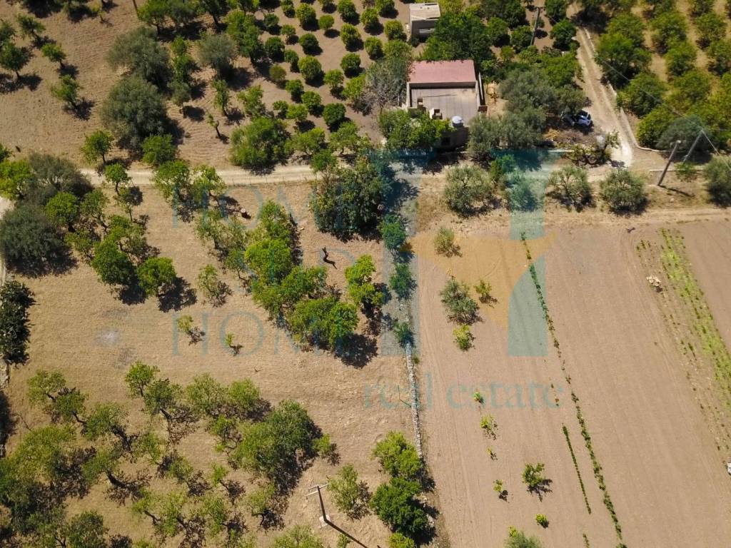 Rustico / casale a Noto in Via Tommaso Fazello, 228 - Foto 3
