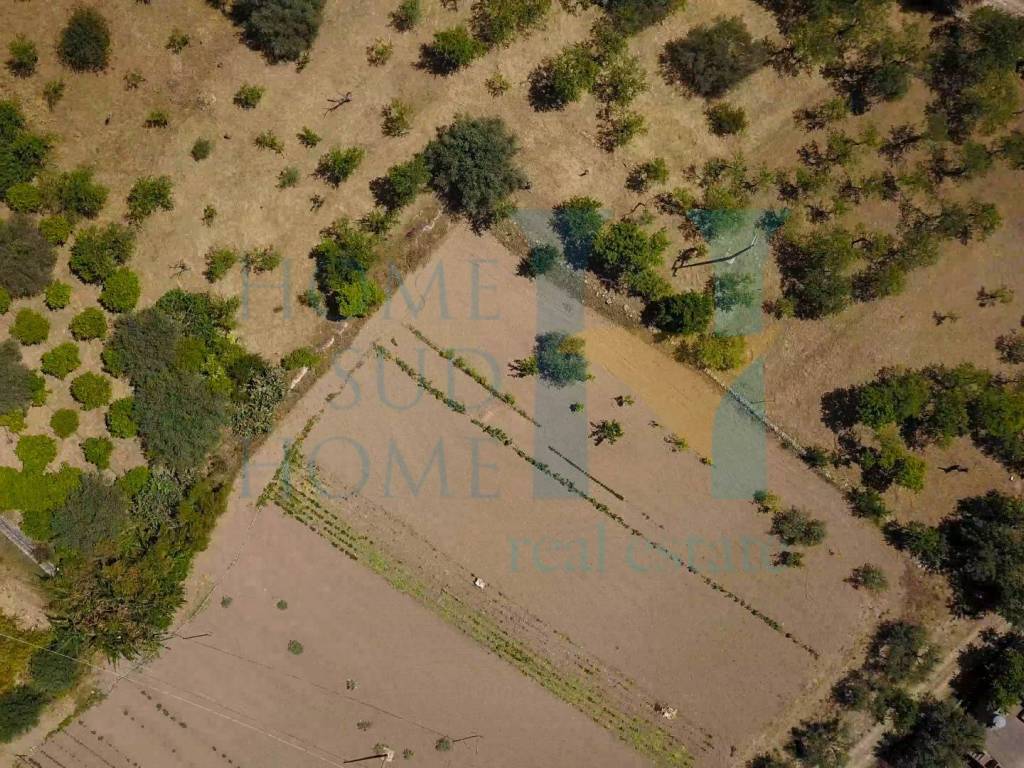 Rustico / casale a Noto in Via Tommaso Fazello, 228 - Foto 5