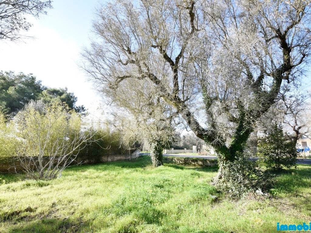 Terreno a Latiano - Foto 3
