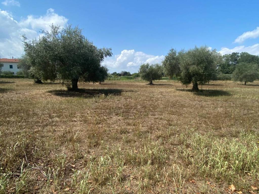 Terreno a Fermo in strada provinciale paludi - Foto 3