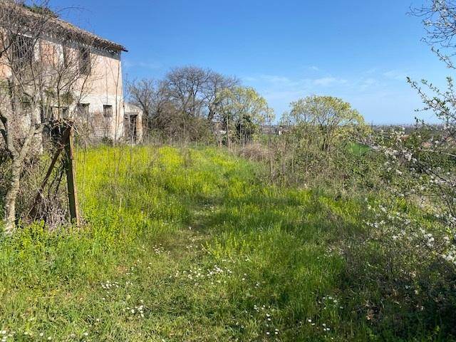 Rustico / casale a Senigallia in Strada Comunale della Cannella - Foto 3
