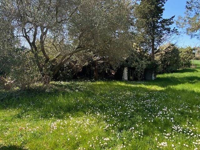 Rustico / casale a Senigallia in Strada Comunale della Cannella - Foto 4