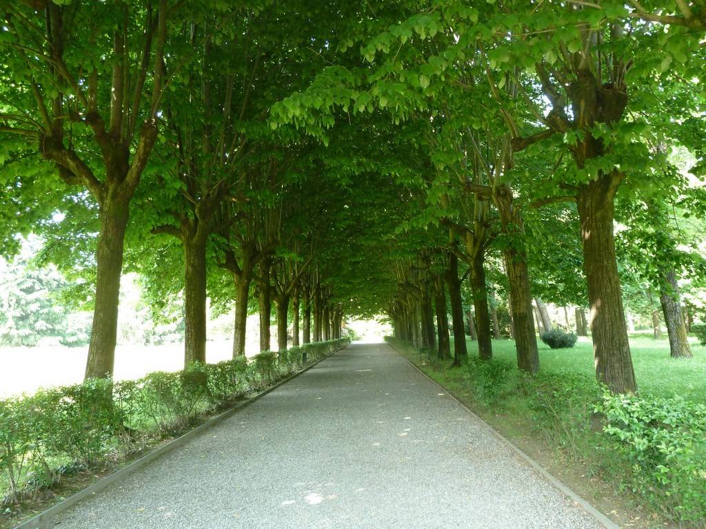 Villa a Somma lombardo - Foto 3