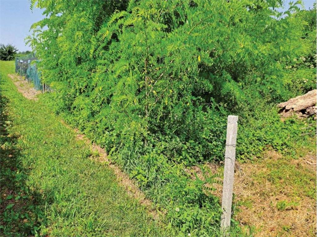 Casa indipendente a San polo di piave in Vicolo del Fabbro - Foto 5