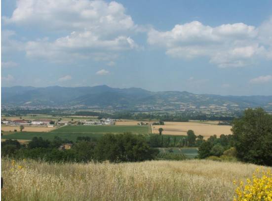 Terreno a Citerna in Strada Provinciale 100 - Foto 2