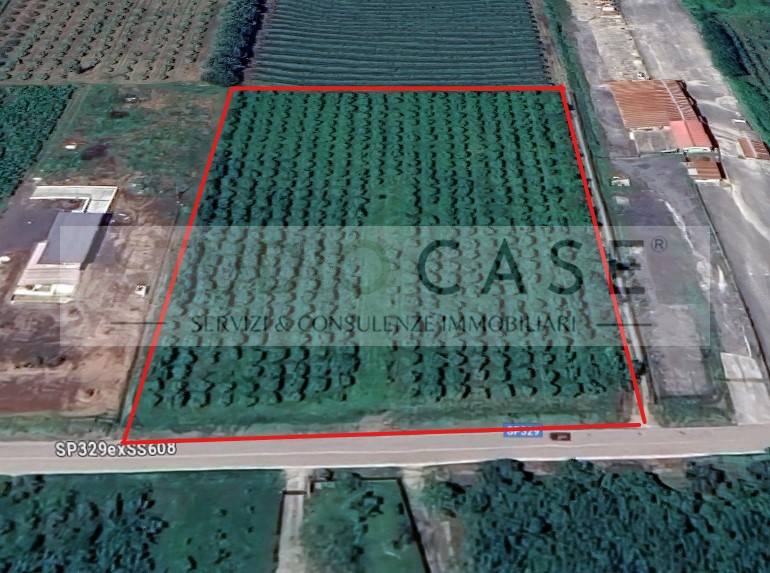 Terreno a Caianello in SP329 - Foto 5