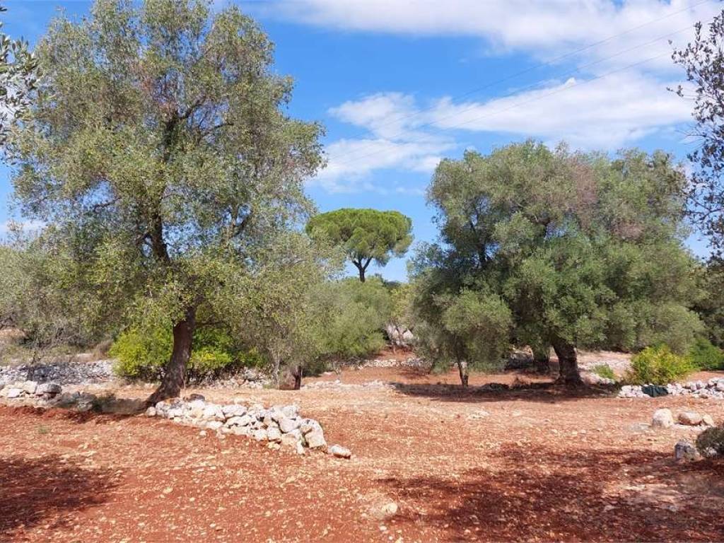 Rustico / casale a Carovigno - Foto 4