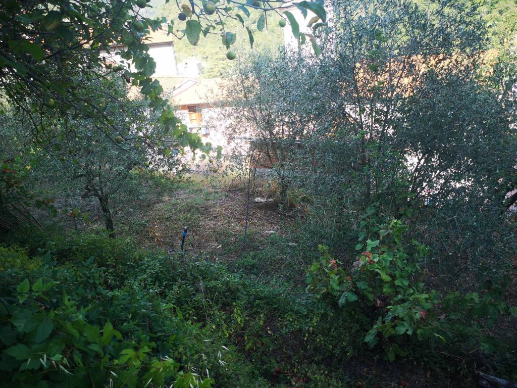 Rustico / casale a Luni in Via Annunziata, 2 - Foto 2