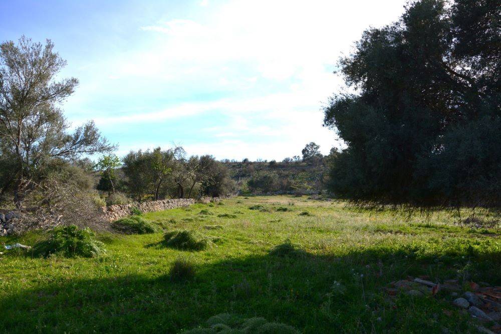 Rustico / casale a Noto in Piazzetta Paulu Nusca - Foto 3
