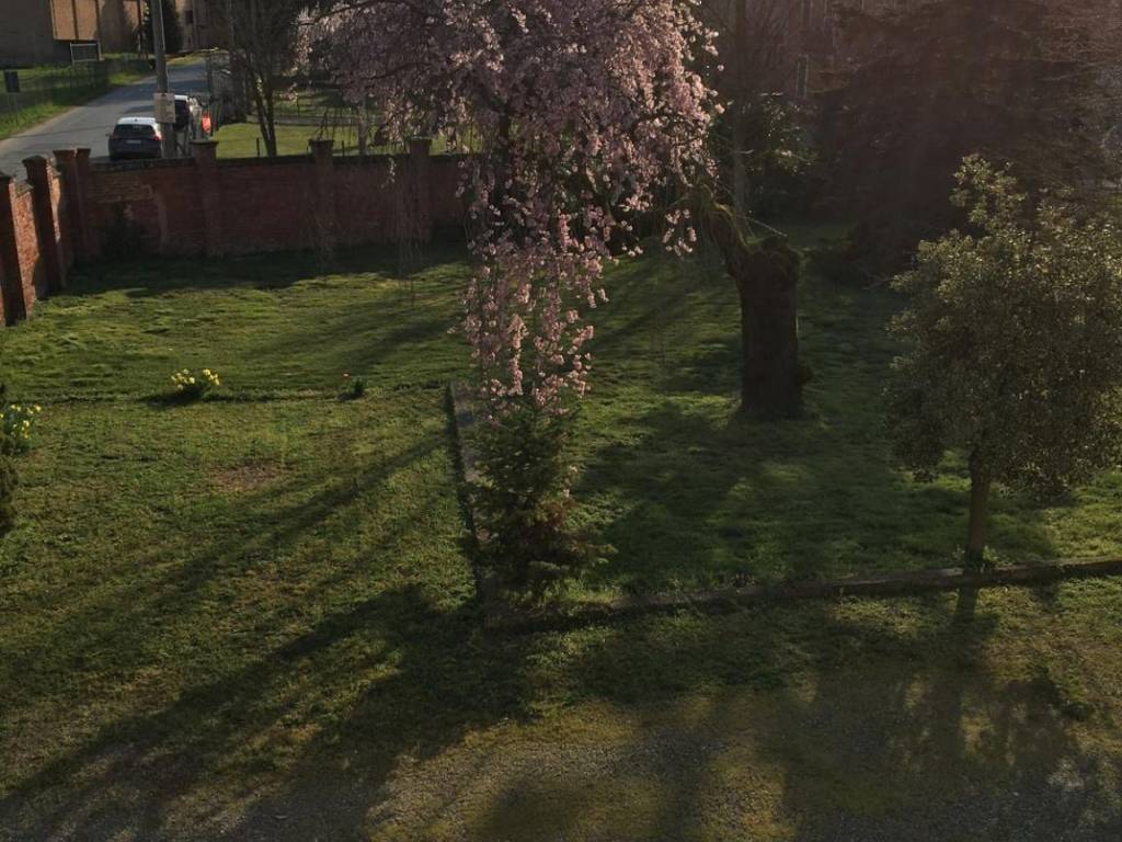 Rustico / casale a Fubine monferrato - Foto 5