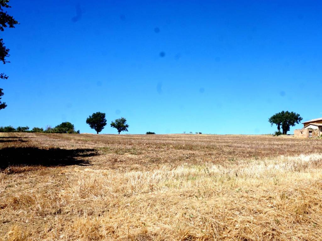 Rustico / casale a Montefalco in Località Macchie - Foto 2
