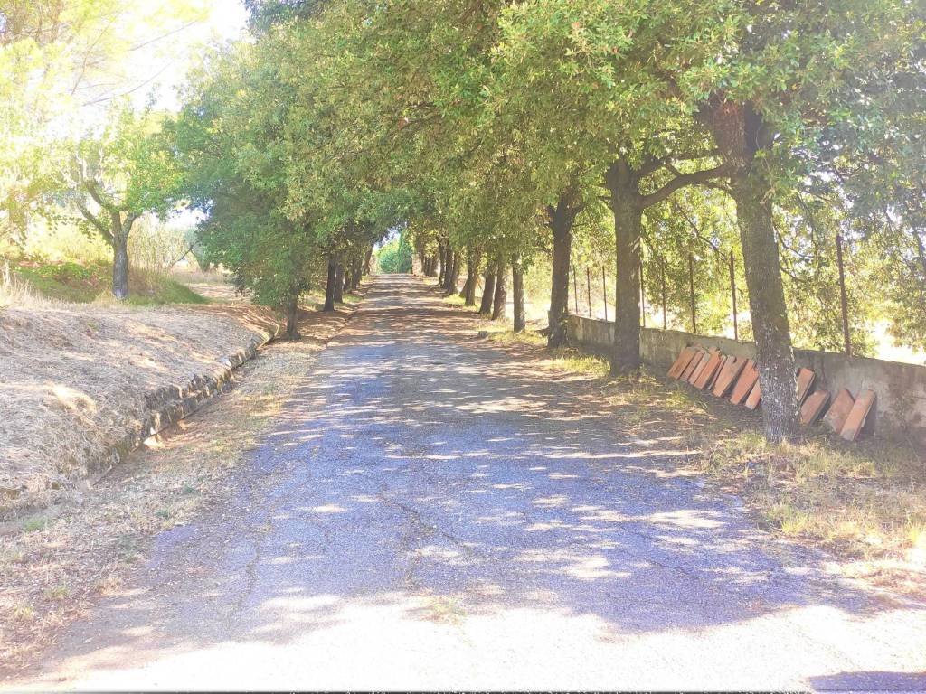 Villa a Quarrata - Foto 2