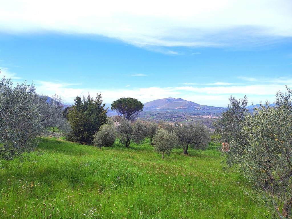 Terreno a Scandriglia in Viale Giosuè Carducci, 32 - Foto 5