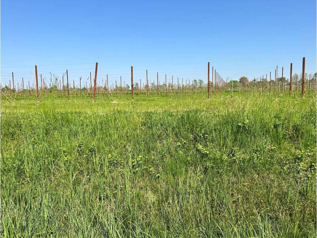 Terreno a Aviano in Via Roma, 1 - Foto 2