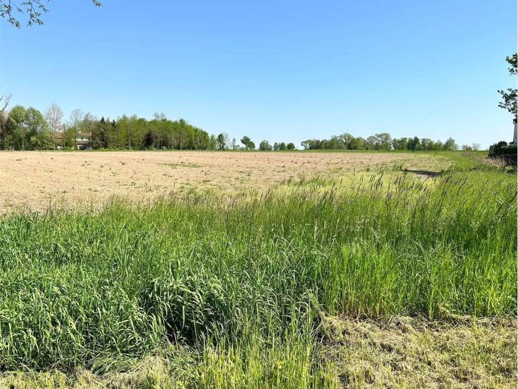 Terreno a Aviano in Via Roma, 1 - Foto 3