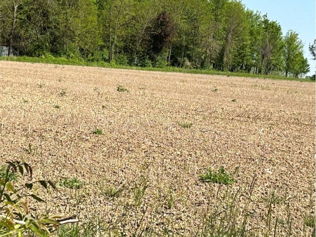 Terreno a Aviano in Via Roma, 1 - Foto 5