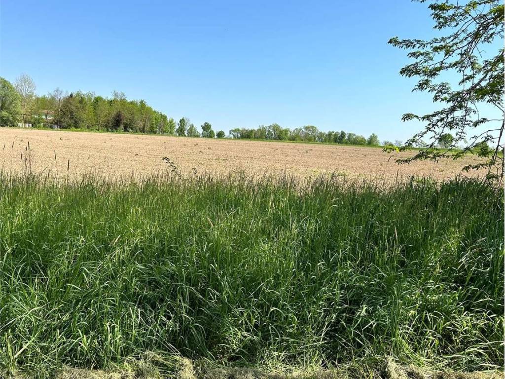 Terreno a Azzano decimo in Via Roma, 1 - Foto 2
