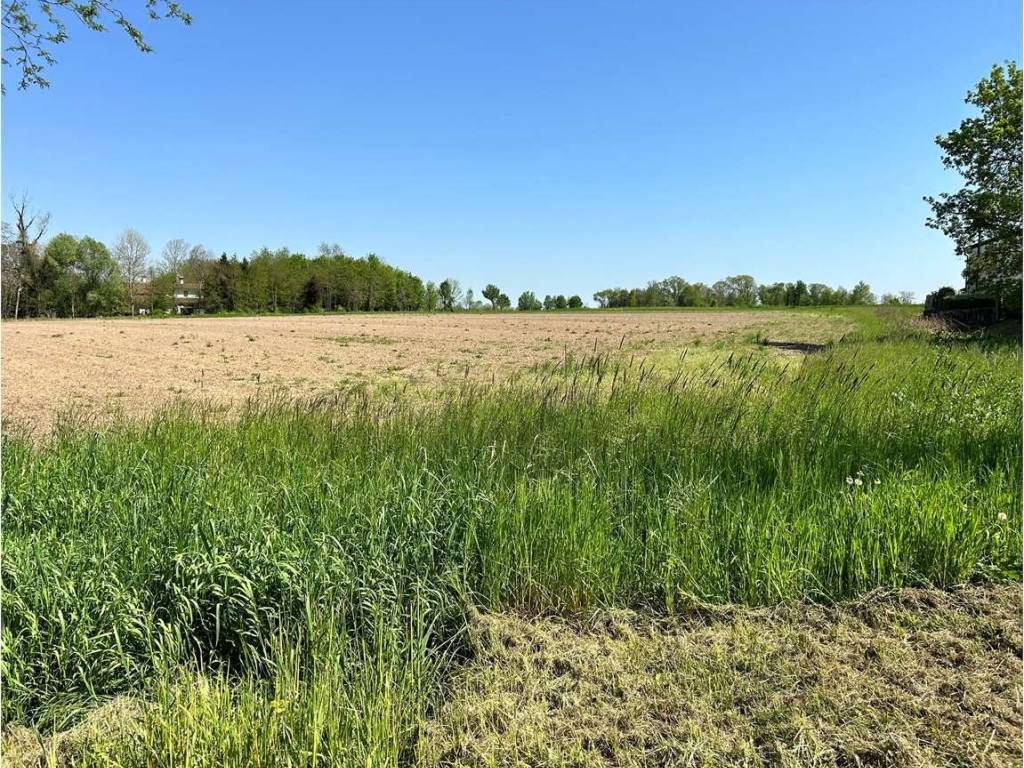 Terreno a Azzano decimo in Via Roma, 1 - Foto 5